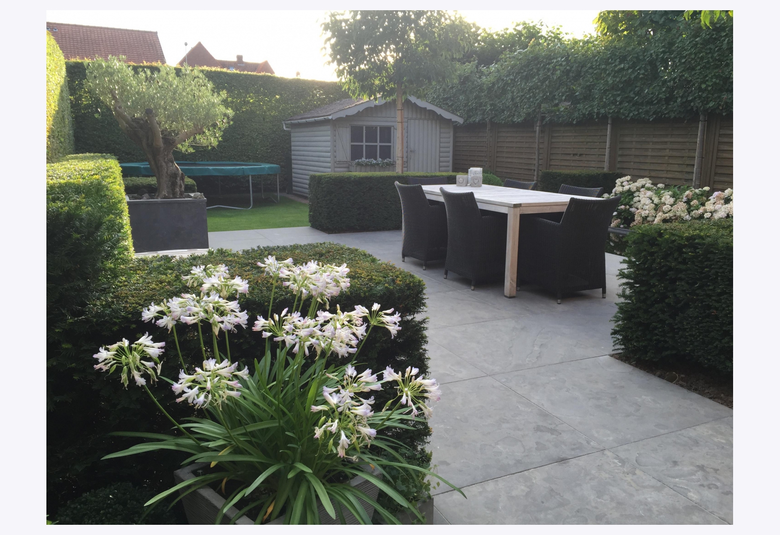 Aanleg vijver en terras in Deerlijk