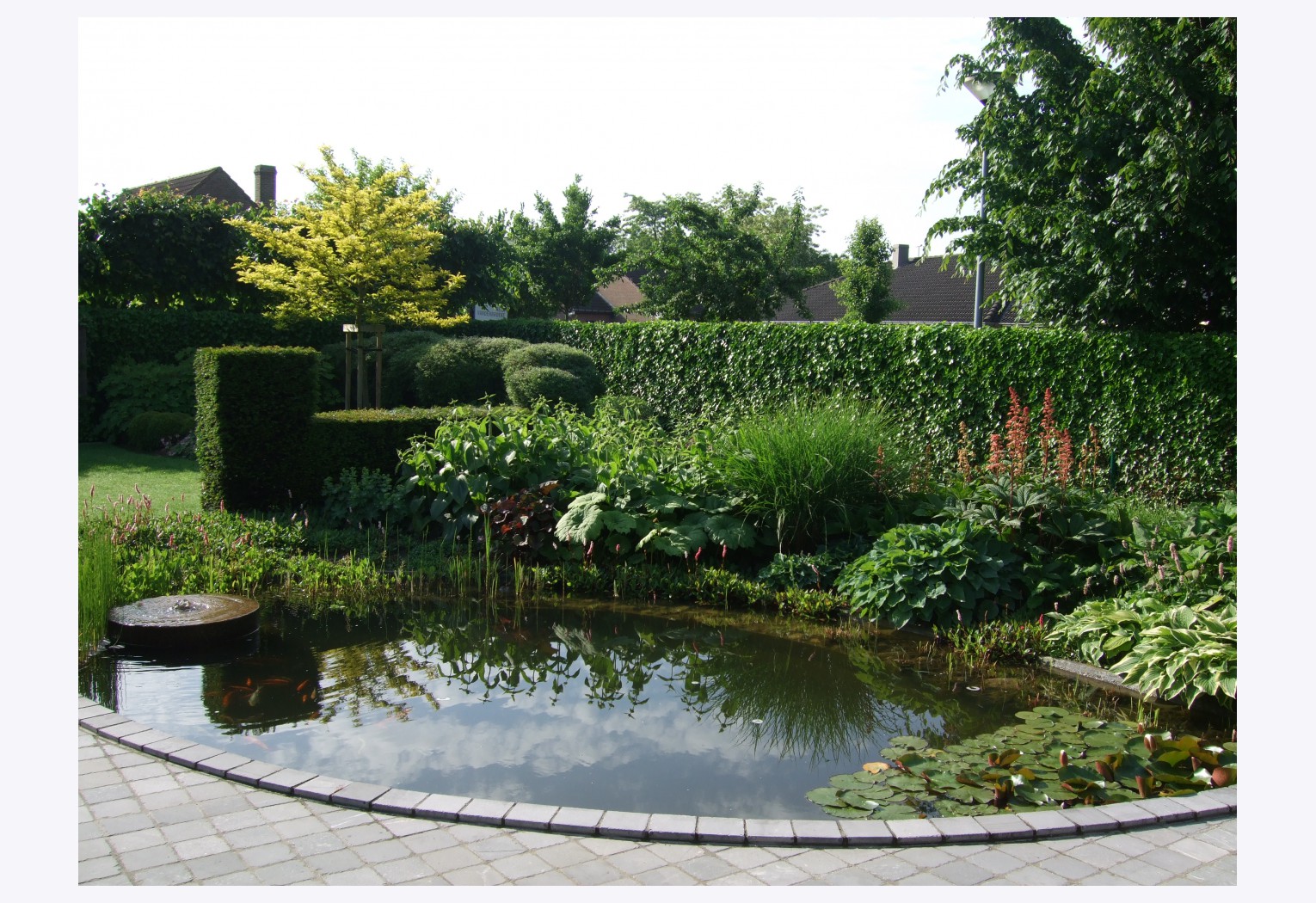 Aanleg vijver in Waregem
