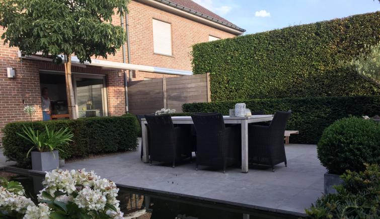 Aanleg vijver en terras in Deerlijk